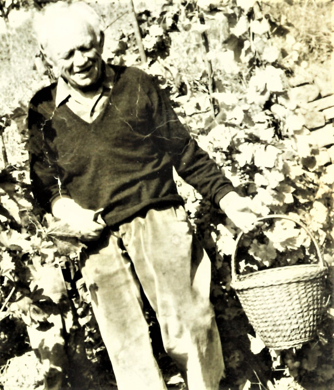 Gottlob Schnaidt, unser alter Frohnmeister pflanzte 1953 die Pappelreihe an der Ammer